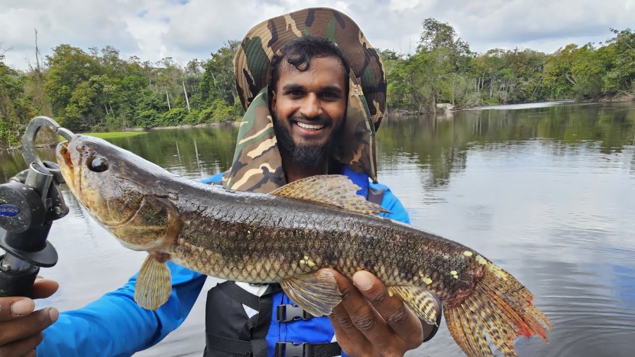 Fishing in Berbice River 🇬🇾2024| Fishing for Dinosaurs Wolf Fish| Catch Clean Cooking Hiking Camping