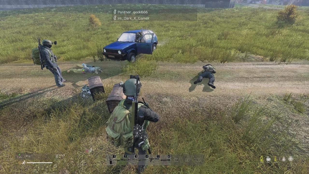 DayZ_20260223194333