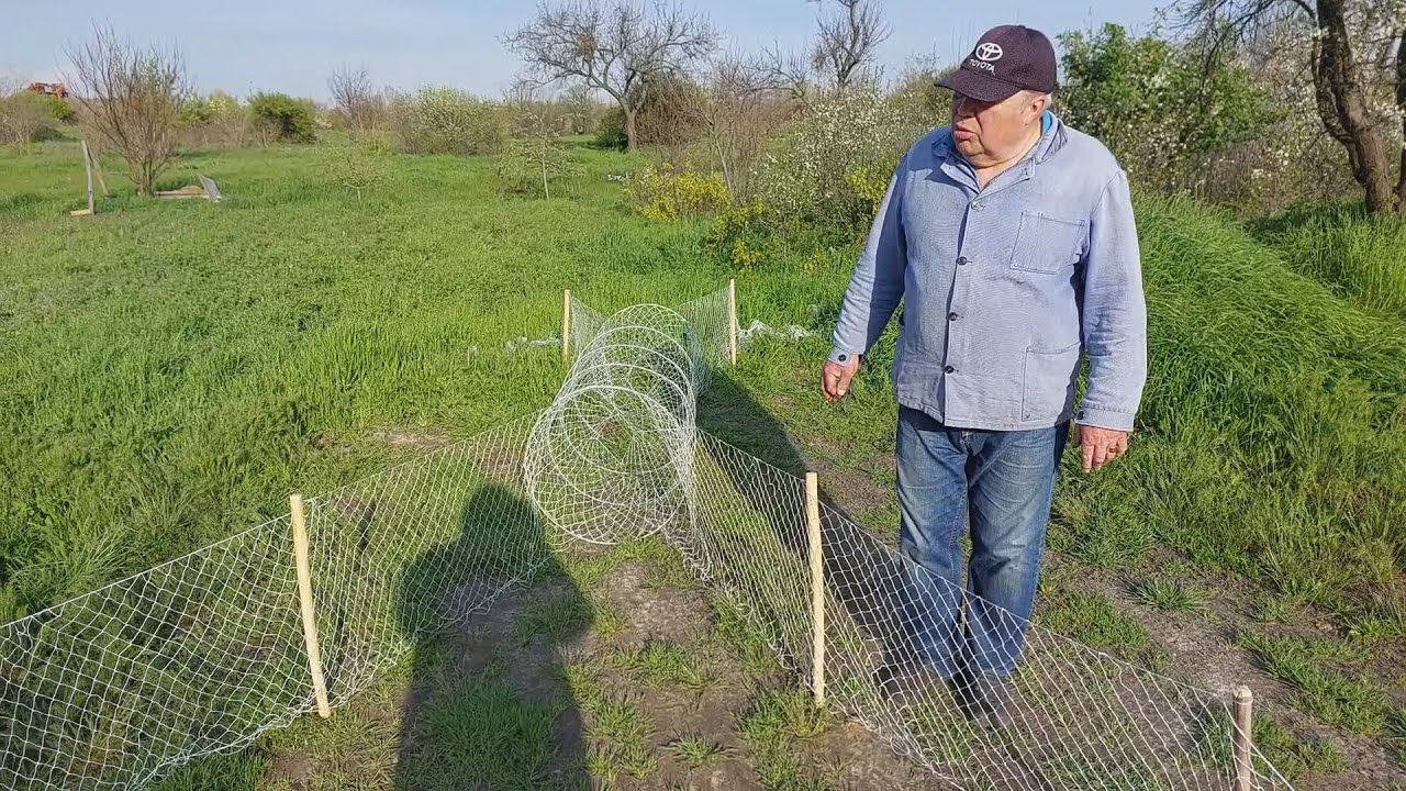 Четырехкрылый ятерь для рыболовли своими руками.