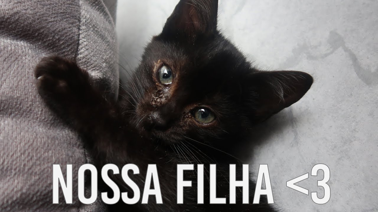 CONHE&Ccedil;A A NOSSA FILHA - A NOX &hearts;️