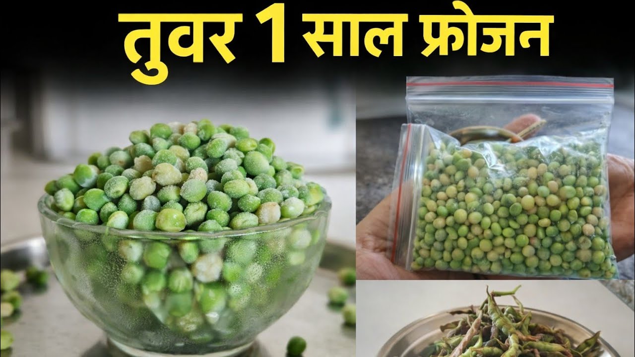 तुवर के दाने (अरहर )1 साल तक कैसे रखें फ्रोजन | बिना खराब हुए | आसान तरीका #dailytasteoflife 