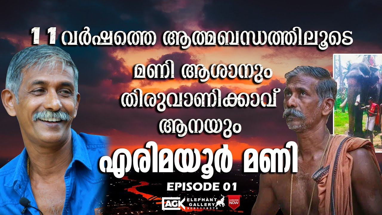 കൊമ്പൻമീശക്കാരന്റെ കൊമ്പന്മാരായുള്ള കൊമ്പ്കോർക്കൽ |എരിമയൂർ മണി | Episode-1