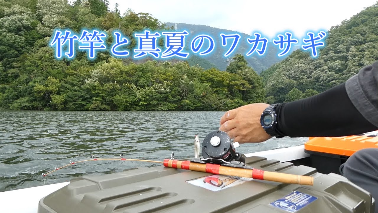 竹竿と真夏でもワカサギ　　伊自良湖にて