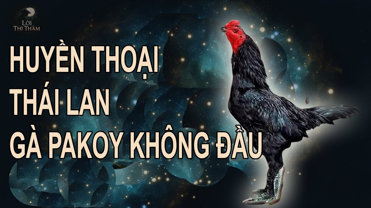TRUYỀN THUYẾT CHIẾN K&Ecirc; : G&Agrave; PAKOY KH&Ocirc;NG ĐẦU - HUYỀN THOẠI LINH K&Ecirc; TH&Aacute;I LAN | LỜI TH&Igrave; THẦM