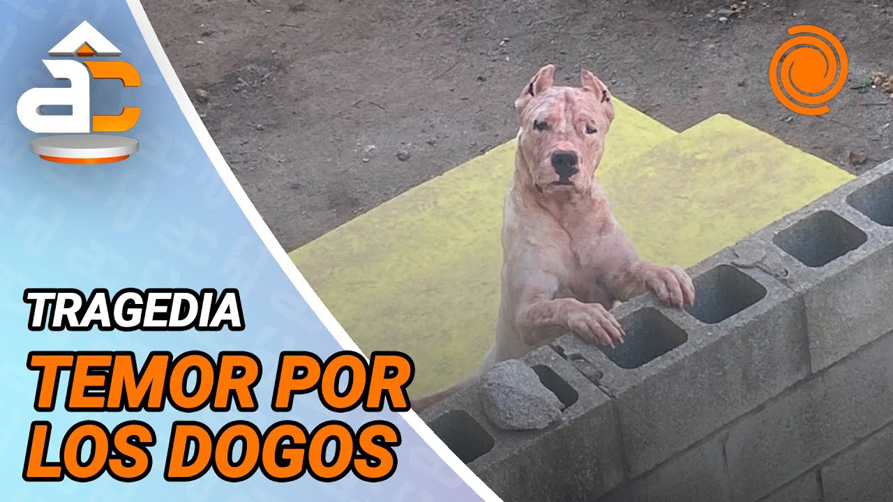 Horror en Río Ceballos: investigan si una mujer murió tras el ATAQUE DE DOGOS