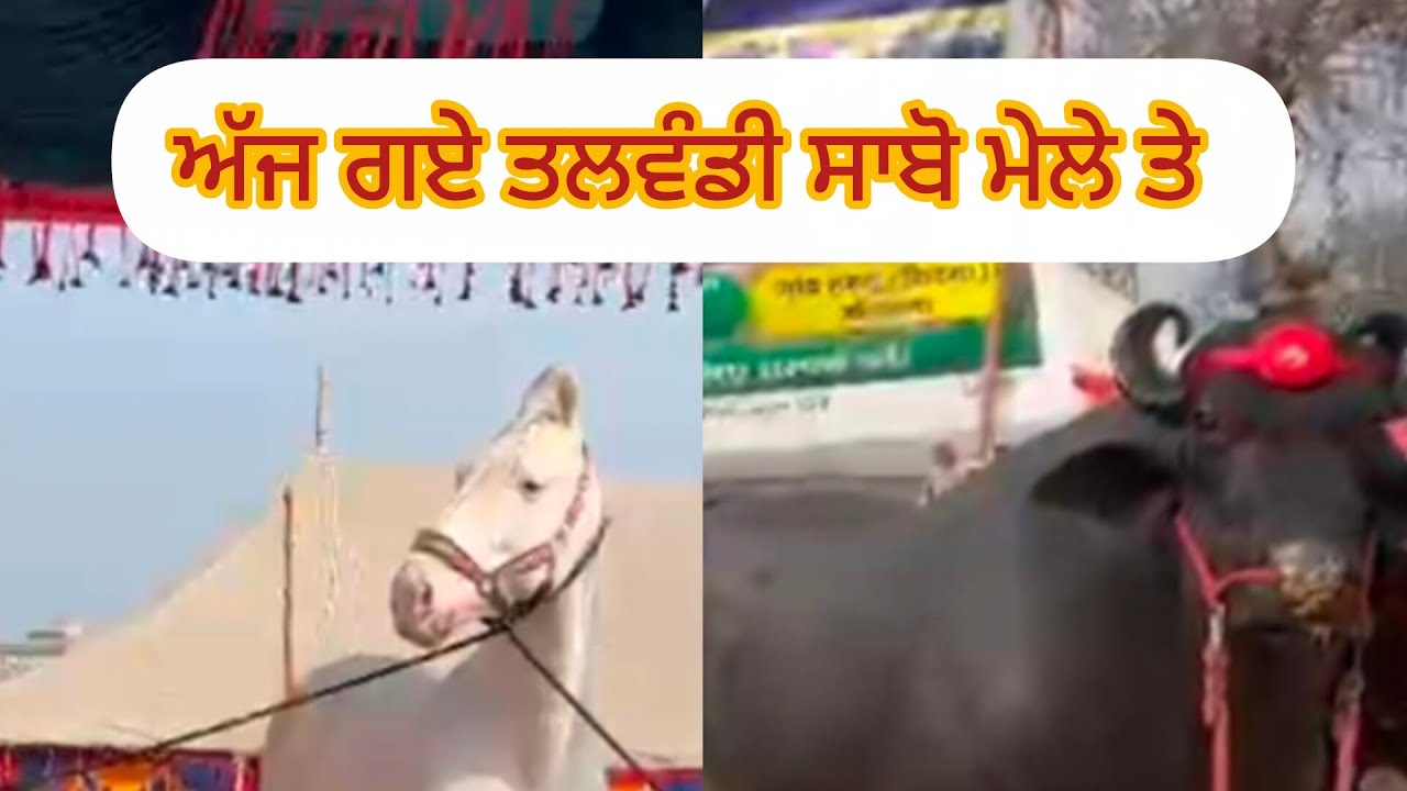 ਅੱਜ ਗਏ ਤਲਵੰਡੀ ਸਾਬੋ ਮੇਲੇ ਤੇ
