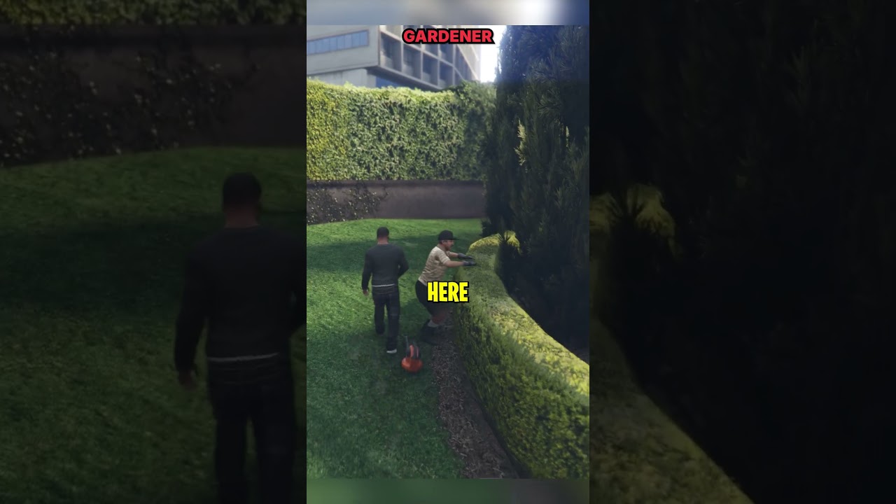 Most Players Never See These GTA V Cutscenes #gta5 #hidden #shorts