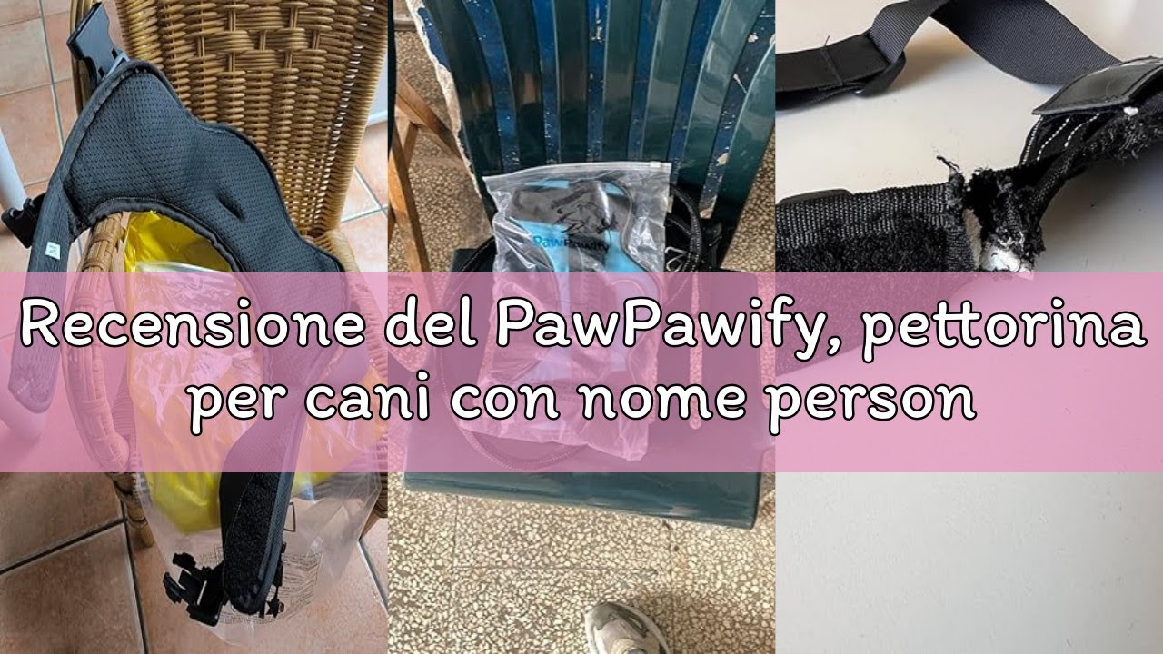 Recensione del PawPawify, pettorina per cani con nome personalizzato e numero di telefono per animal