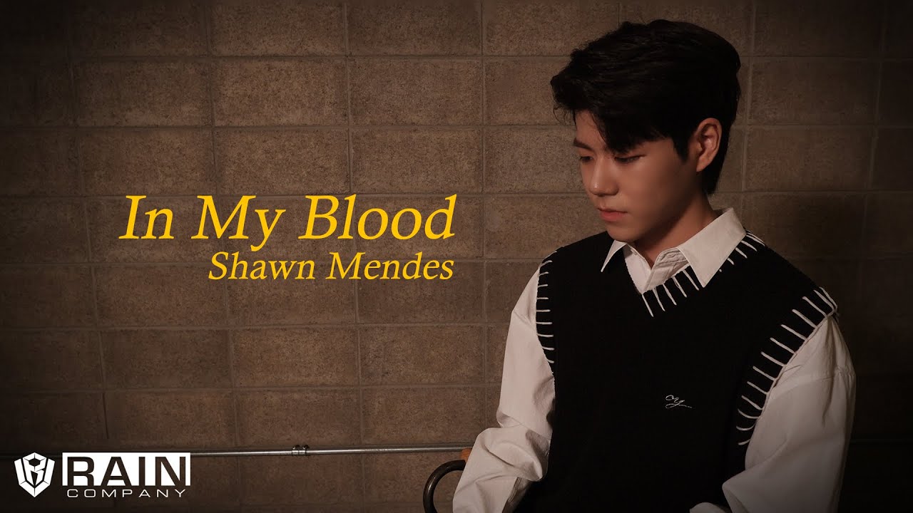 싸이퍼(Ciipher) 도환 'Shawn Mendes - In My Blood' Cover (Arranged by 케이타)