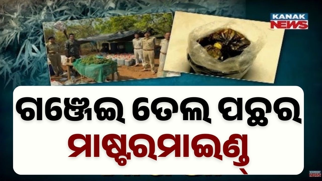 Kerala-Koraput Ganja Oil Bust: 7 Arrested, Mastermind Allen Jayaraj Caught | DIG Reveals Details