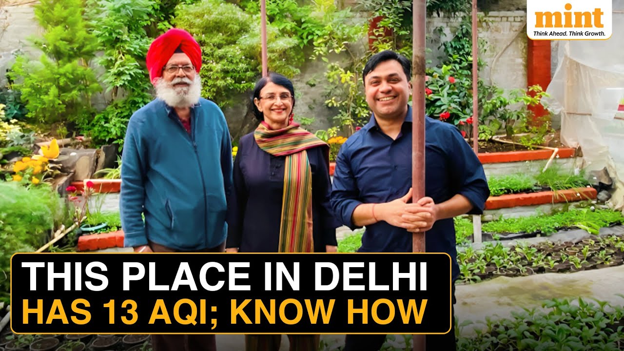 How This Couple Defeated Toxic Air Pollution To Breathe 'Mountain Air' While Staying In Delhi