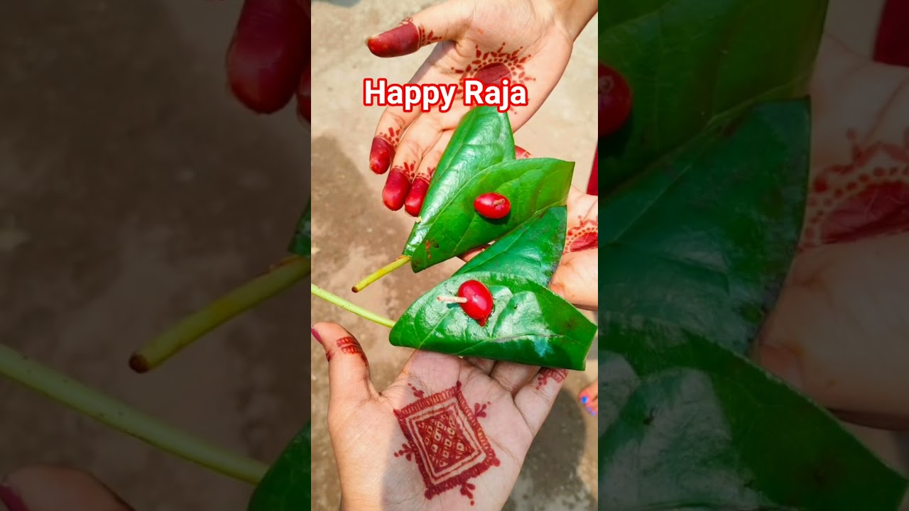 Raja festival 😊😊#odishaculture #shorts #odisha