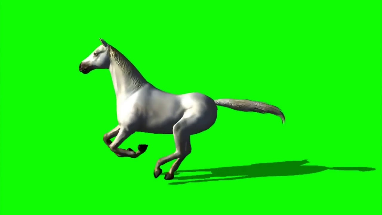 Croma. Pantalla verde. 