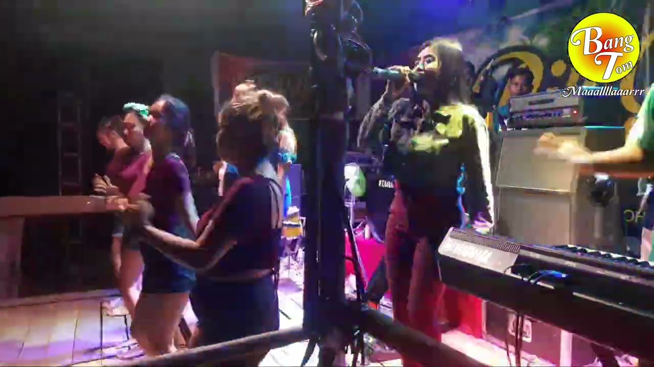BILL BAND _ Dara Amunt (Cover)