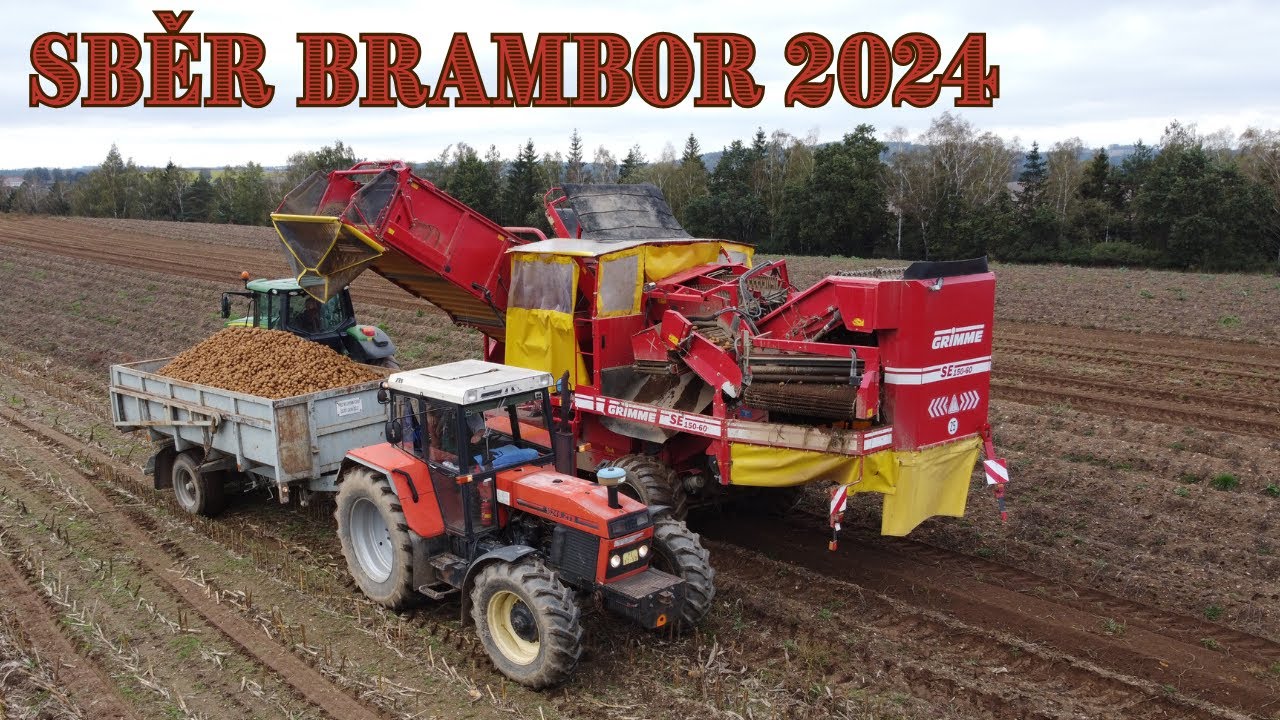 Sbírání brambor 2024 I ZOD Hořice