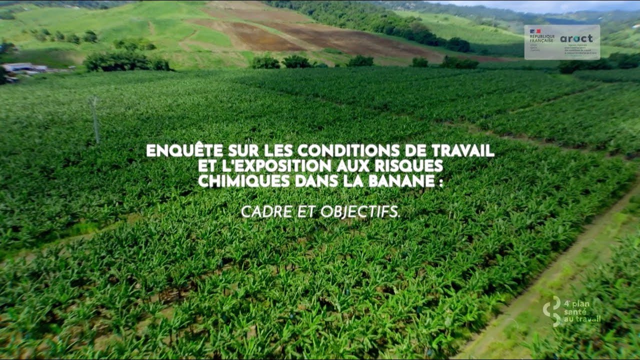 Enquête Risques Chimique : Cadre & Objectifs / Banane Martinique / PRST4 / Aract-Itt Martinique