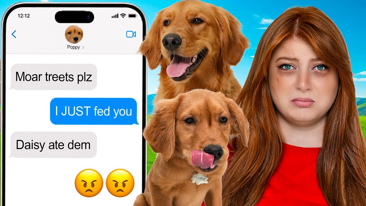 1000 способов, которыми я позволяю своим собакам контролировать мою жизнь! 🐶