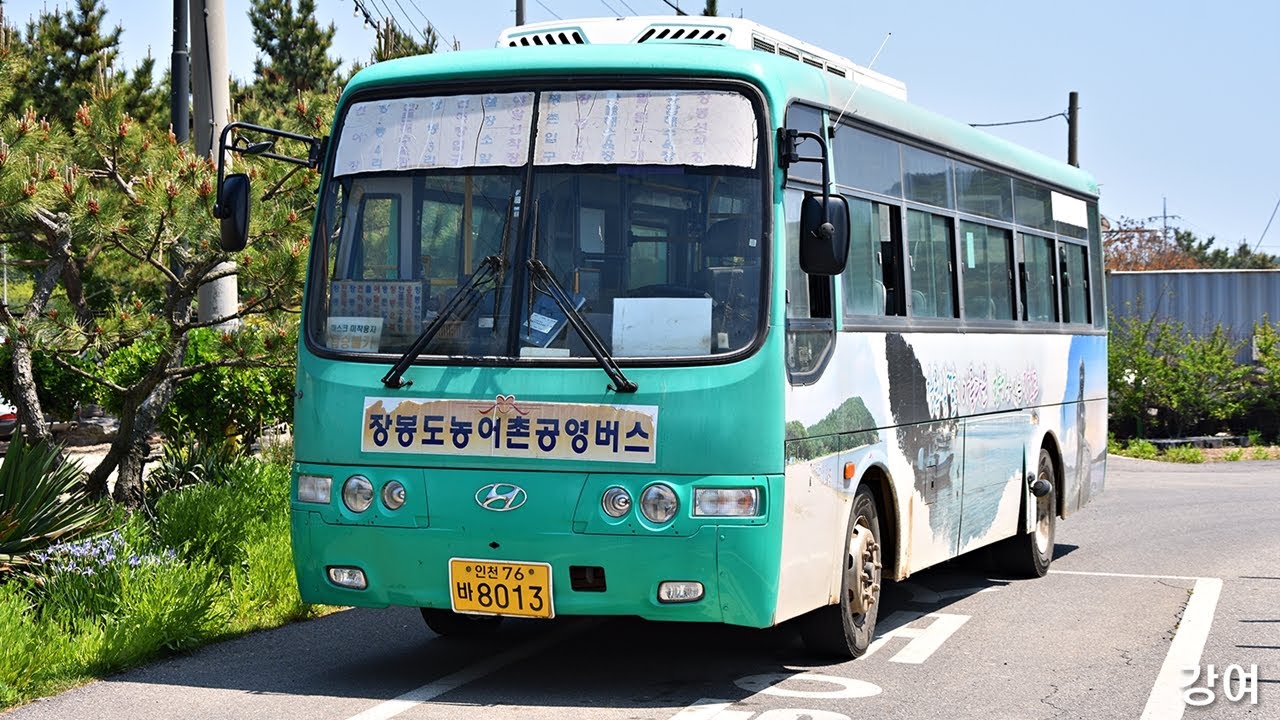 인천 옹진군 장봉도 공영버스 주행영상 (장봉선착장 ~ 장봉4리 건어장)
