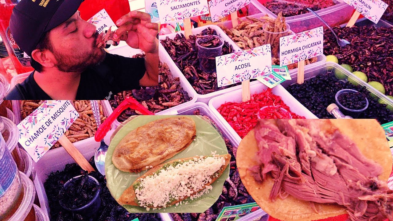 Feria de la BARBACOA y el PULQUE ACTOPAN HIDALGO 2022