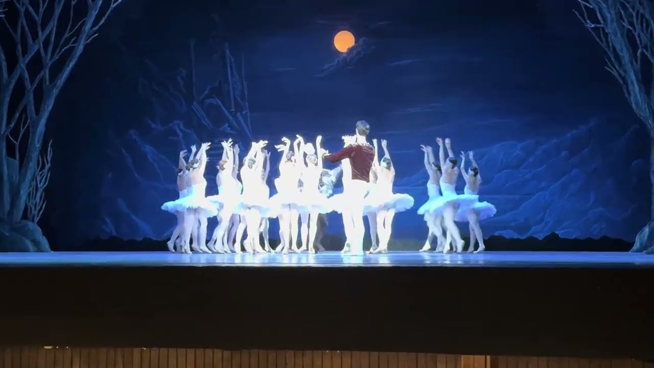 Swan Lake Final Scene - Ballet Of Georgia 🇬🇪 