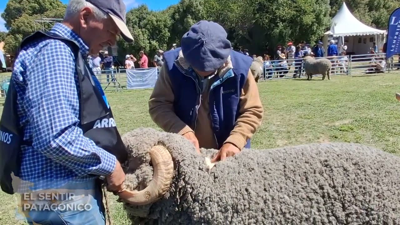 1° BLOQUE, CAPÍTULO 1229 , EL SENTIR PATAGÓNICO HD, CANAL RURAL BUENOS AIRES...