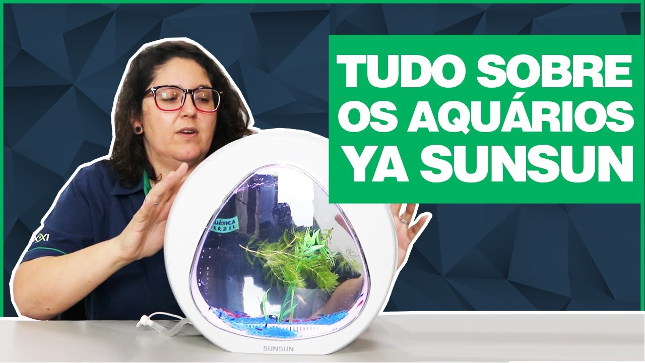 AQUÁRIOS YA SUNSUN - Tudo que você precisa saber!