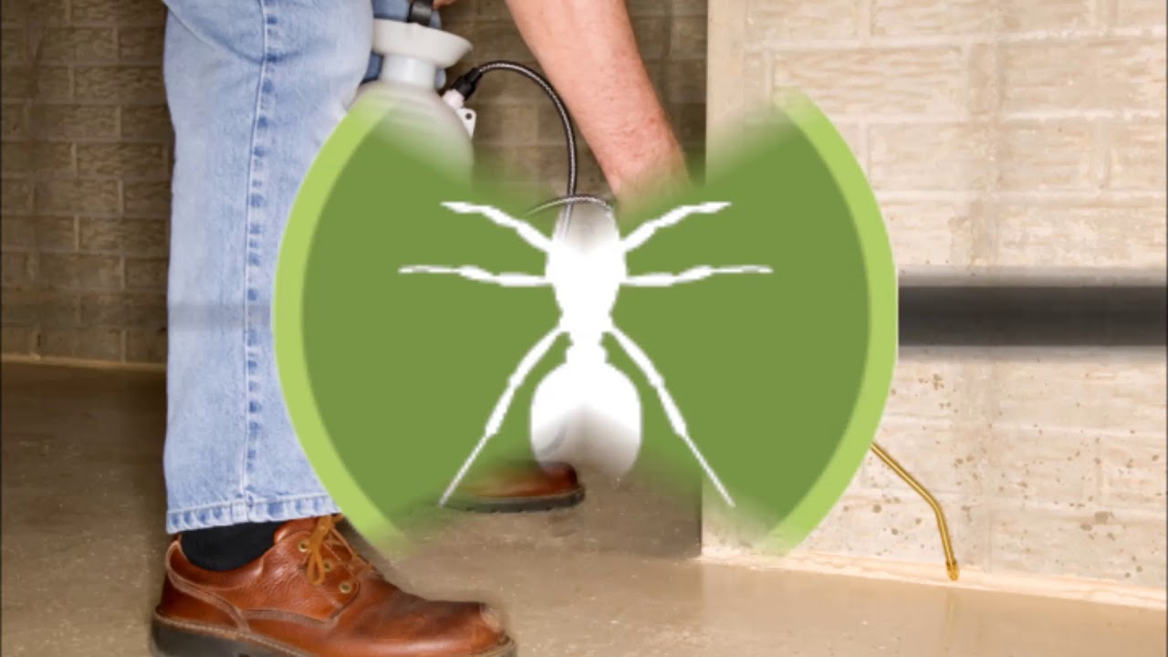 Section 8 Exterminate  - (417) 221-3714