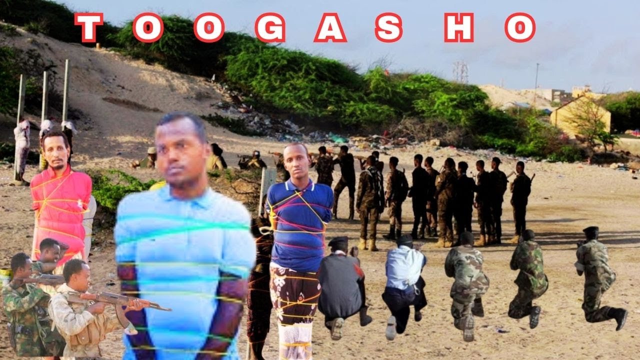 DEG DEG: Sayid Cali Tiirka Toogashada iyo Beesha Habar-Gidir oo dagaal ku dhaaraty, Sheekhaal oo...
