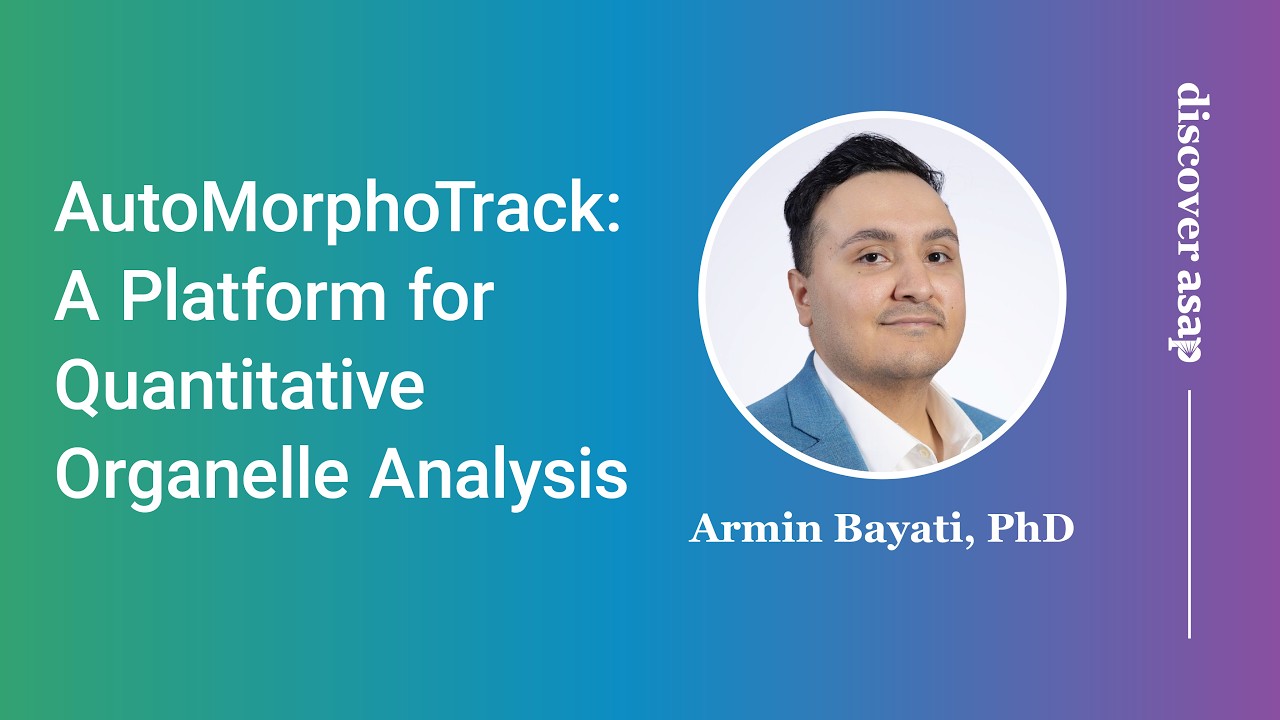 AutoMorphoTrack: A Platform for Quantitative Organelle Analysis