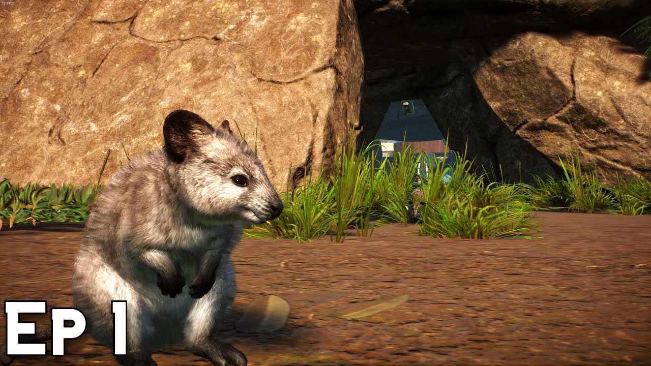 Building a Lush Tropical Zoo in Planet Zoo Franchise Mode