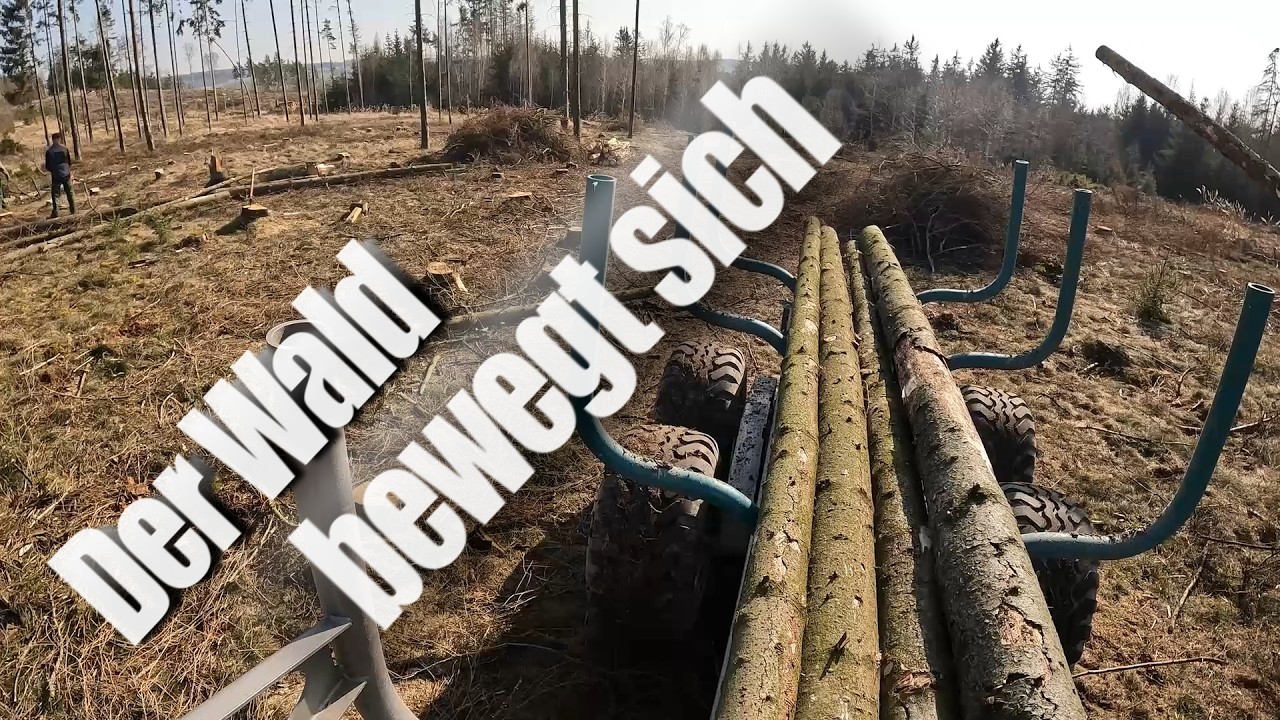 Abfahren bis zum letzten Baum im Wald mit Rückewagen Pfanzelt s6 | Deutz-Fahr 5070 | Stihl