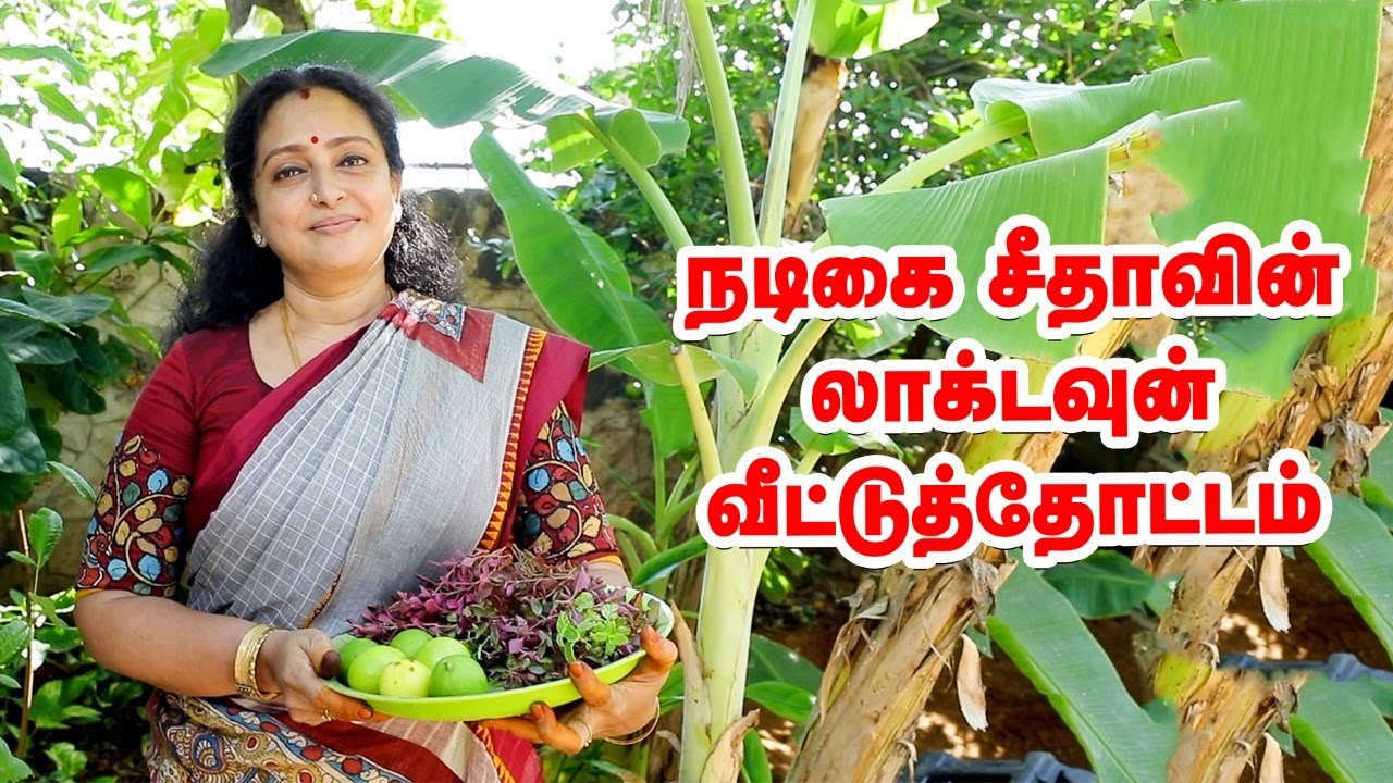 நடிகை சீதாவின் 'லாக்டவுன்' வீட்டுத்தோட்டம் | Actress Seetha Home Garden