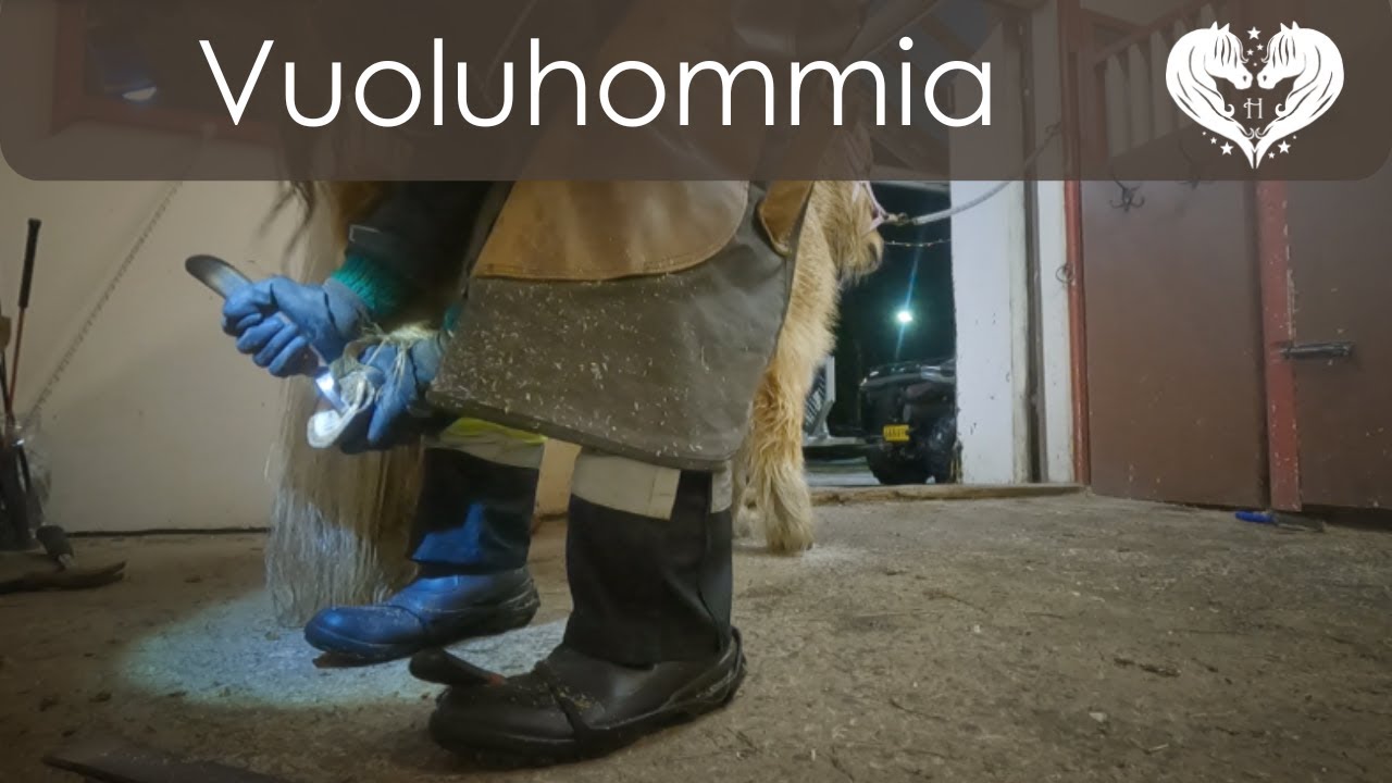 Vuoluhommia positiivisella vahvisteella
