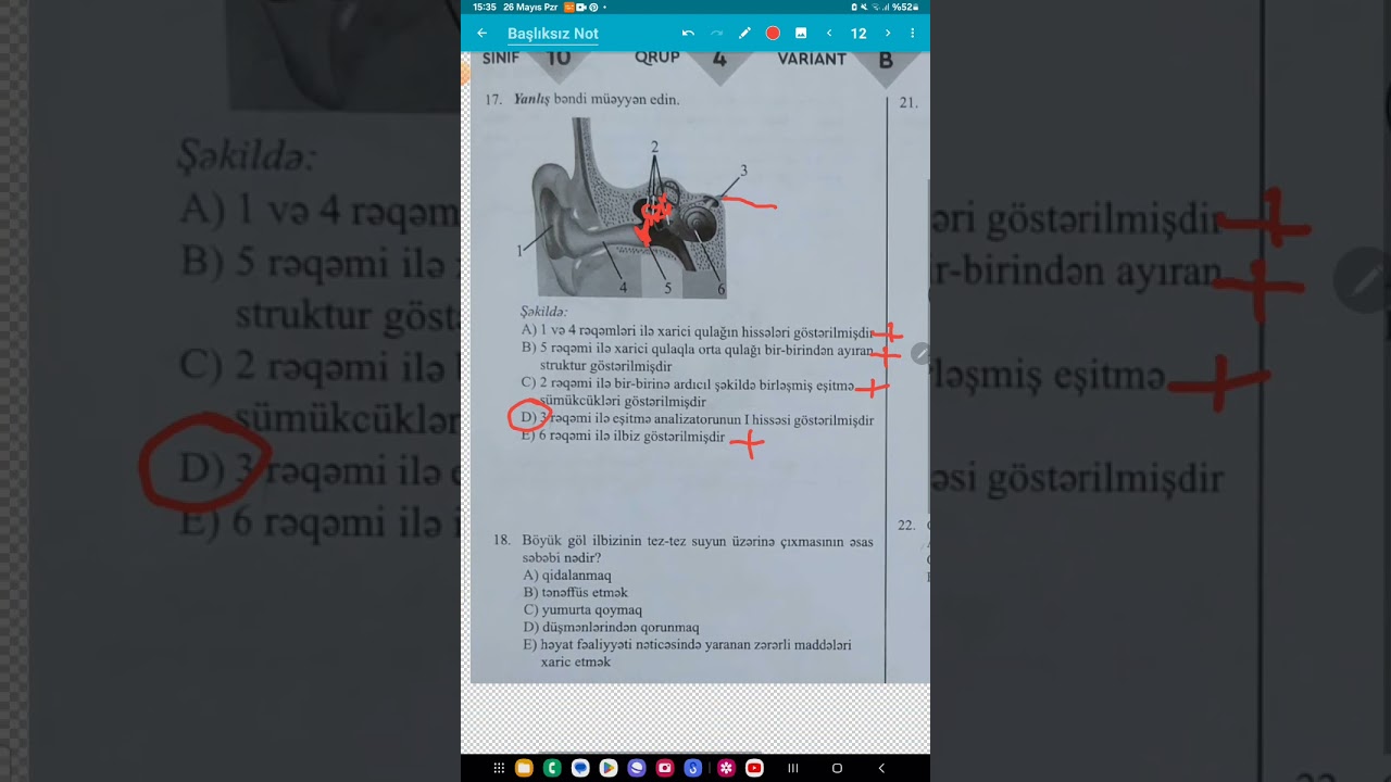 26.05.2024 Güvən 11 sınaq Biologiya