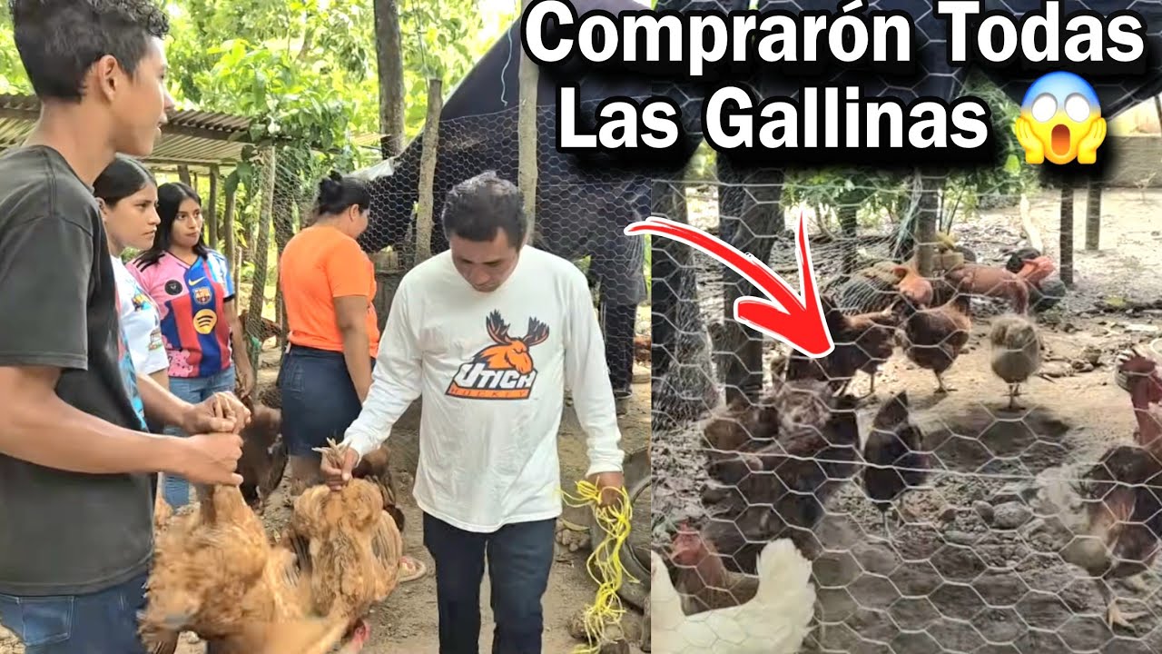 🚨Urg3nte Gran Pedida 2025 Se Comprarón Todas Las Gallinas de Jabali Para 70 Personas|Imagen La😱 Boda