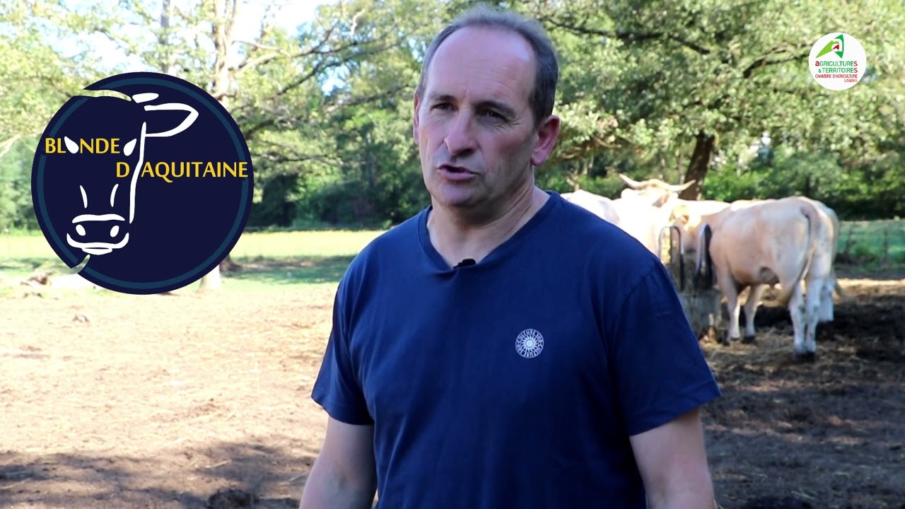 Témoignage Jérôme Dufourcq sabot d'or 2022 race Blonde d'aquitaine