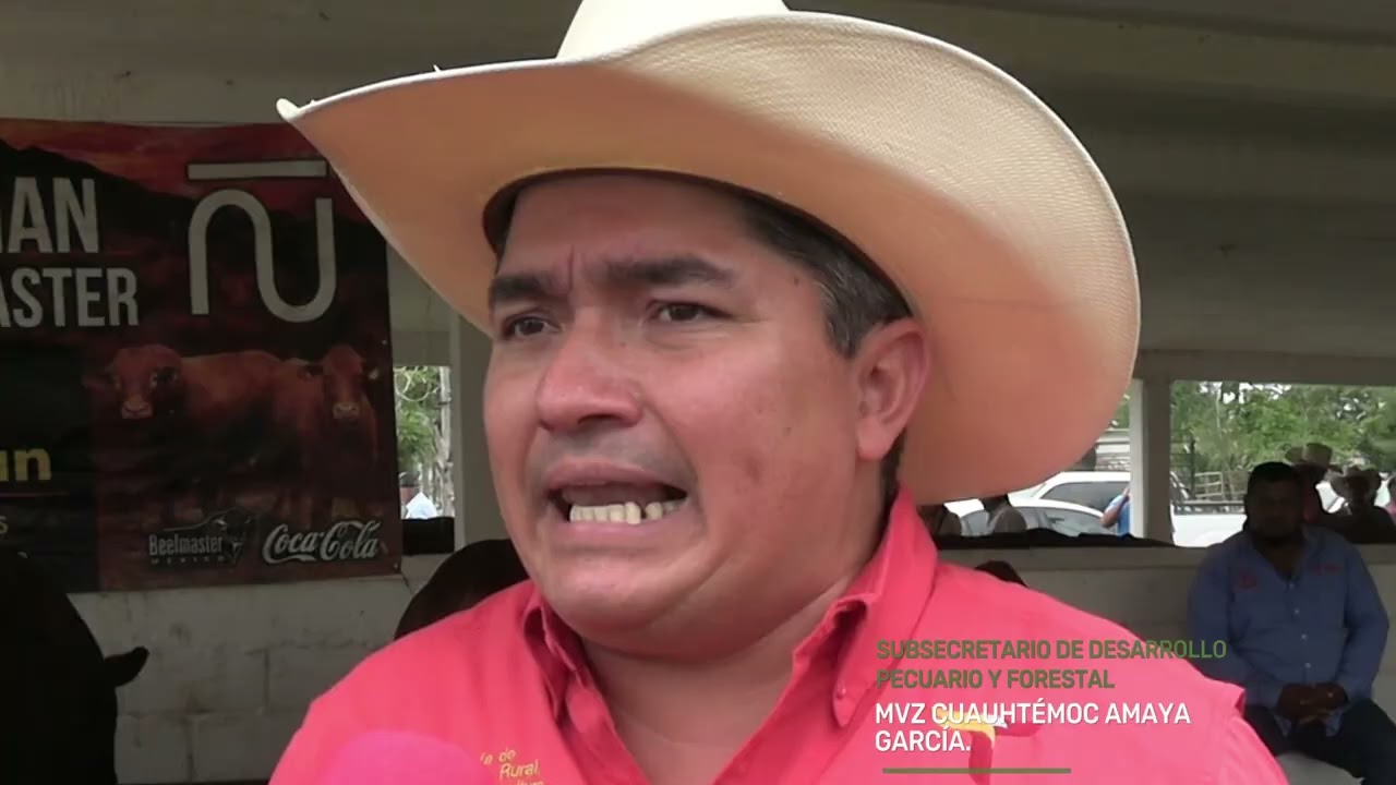 SUBSIDIAN 86 TOROS DE 8 RAZAS PARA MEJORAMIENTO GEN'ETICO EN ALDAMA, TAMAULIPAS
