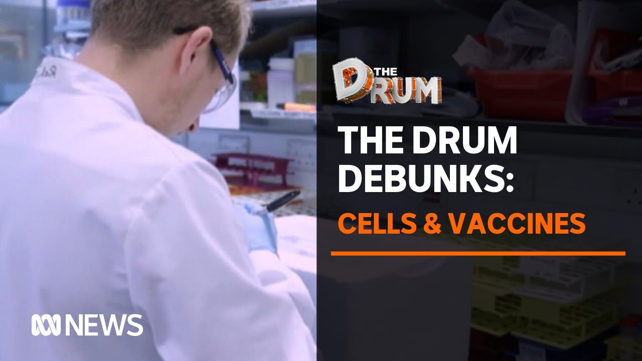 What's the science behind embryo-derived 'cell lines' and the COVID vaccine? | The Drum
