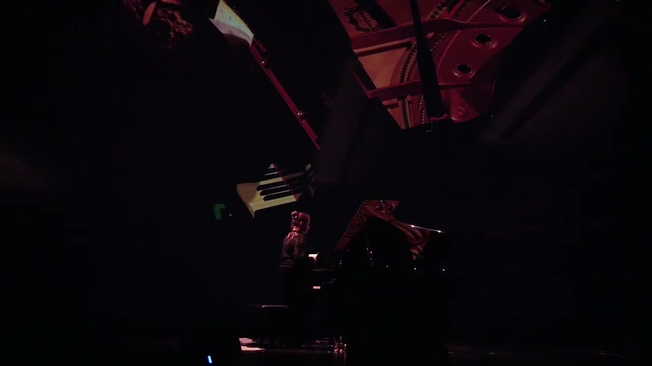 A Duet of Intelligences - Veronika Reutz Drobnić and Julian Brandhofer