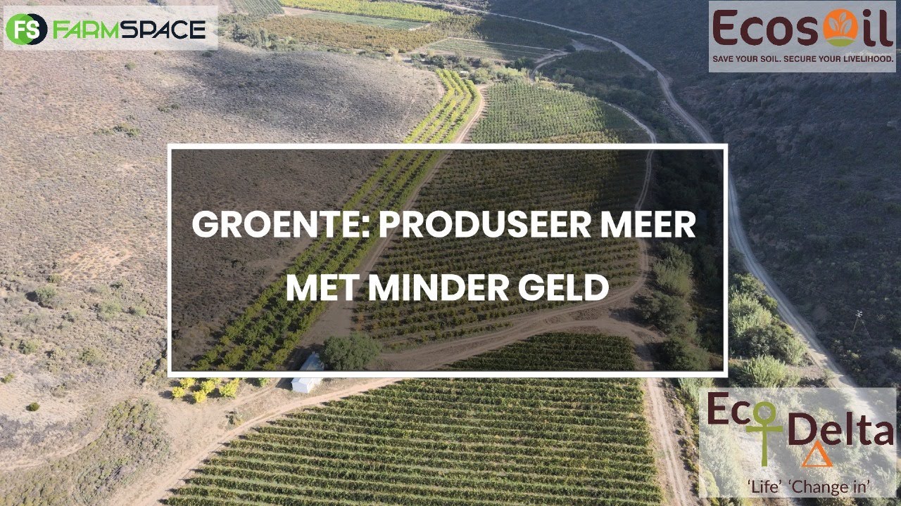 Groente: Produseer meer met minder geld!