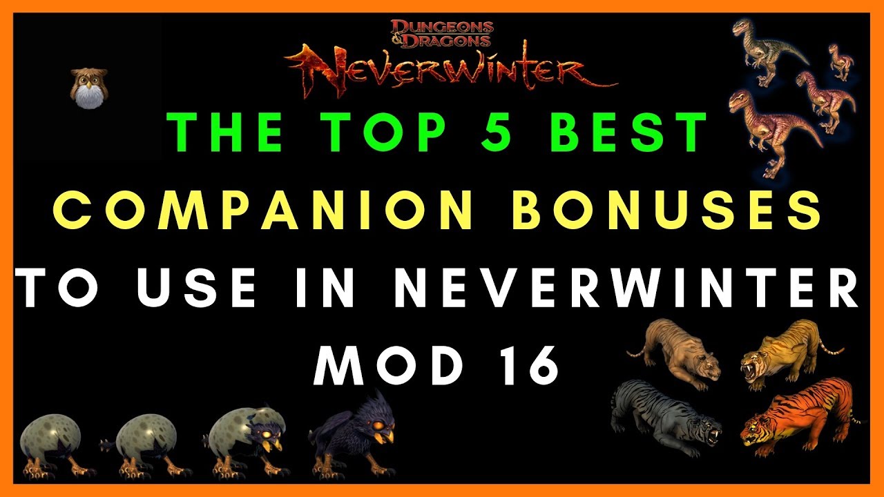 The Top 5 Companions To Use For Offense Defense & Utility In Neverwinter Mod 16