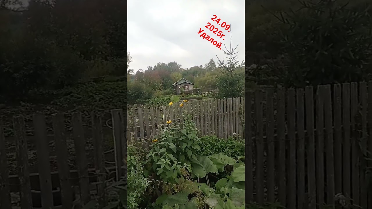 Про пантеизм.