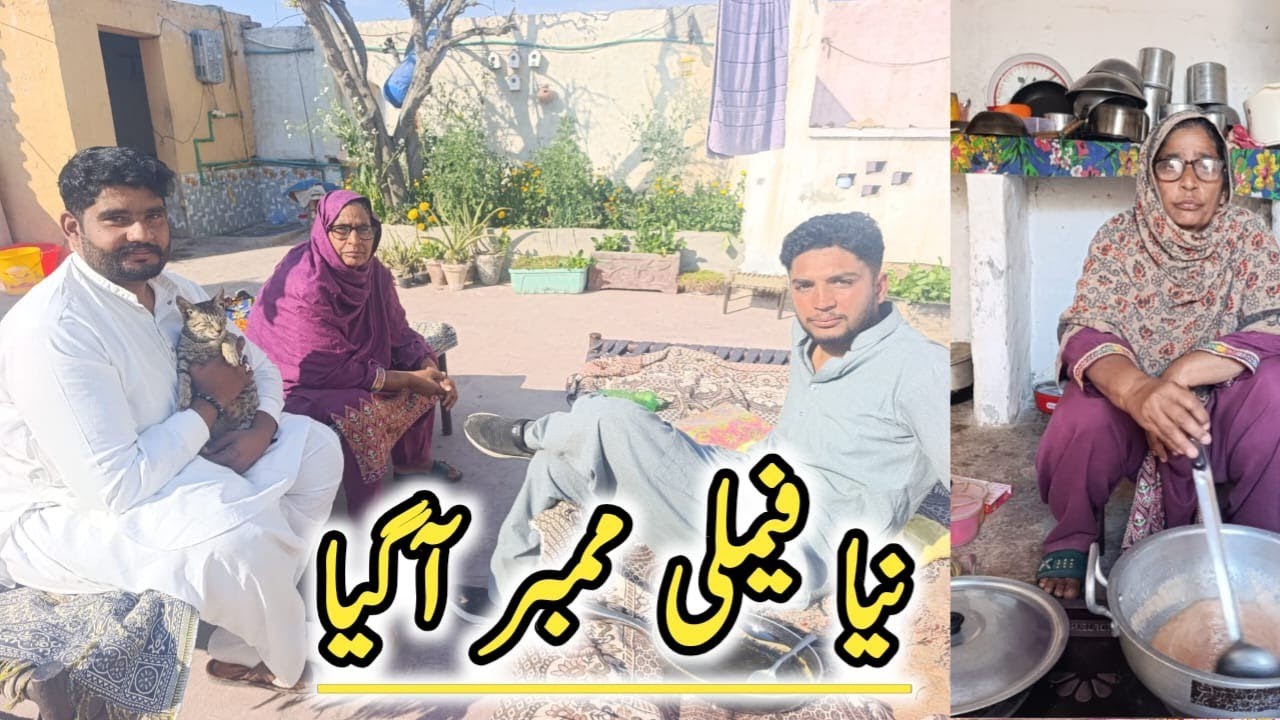 Humara ghar new family member agya ami bhot happy ha||Happydesifamily8||