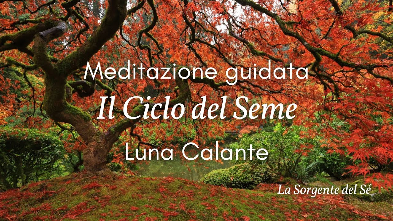 LUNA CALANTE - Meditazione guidata 