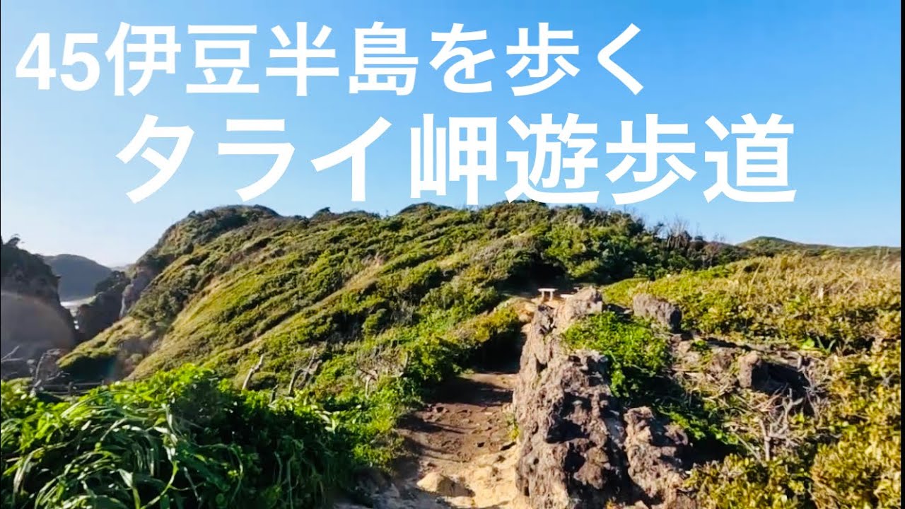 45タライ岬遊歩道/田牛海岸から弓ヶ浜へ【45伊豆半島を歩く】南伊豆町/Minamiizu town, Shizuoka, Japan