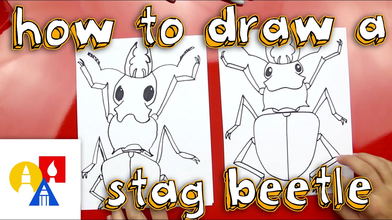 How To Draw A Stag Beetle