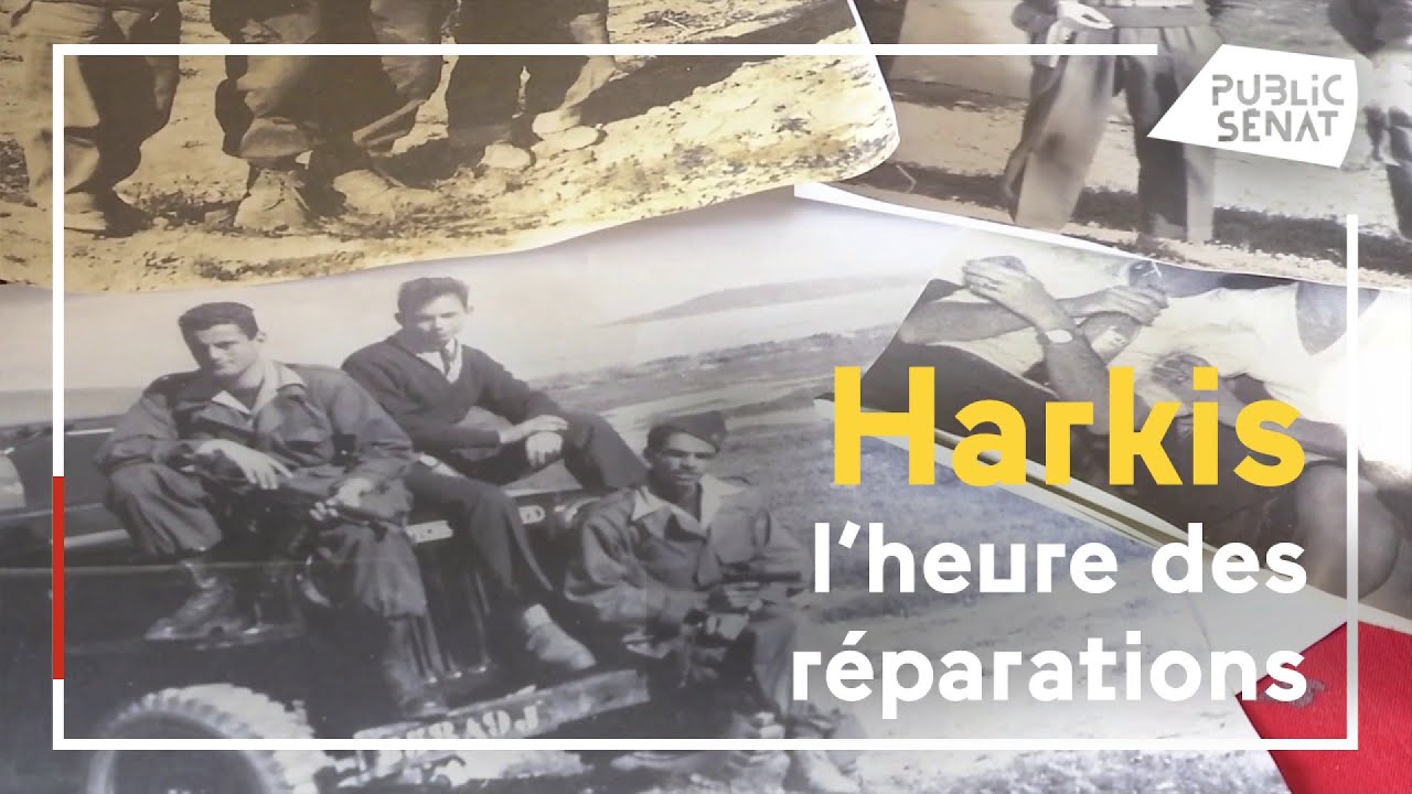 Harkis : un projet de loi jugé insuffisant