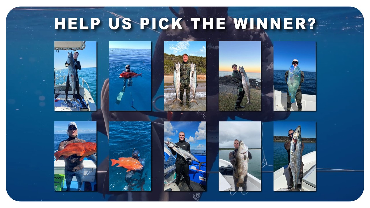 Rob Allen | Tackle World Bundaberg | Pick our winner for 2025