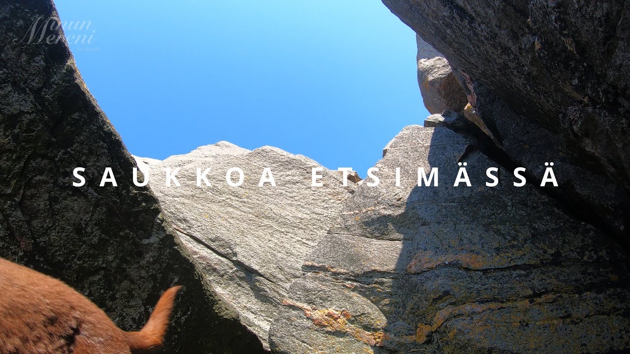 120. Saukkoja etsimässä